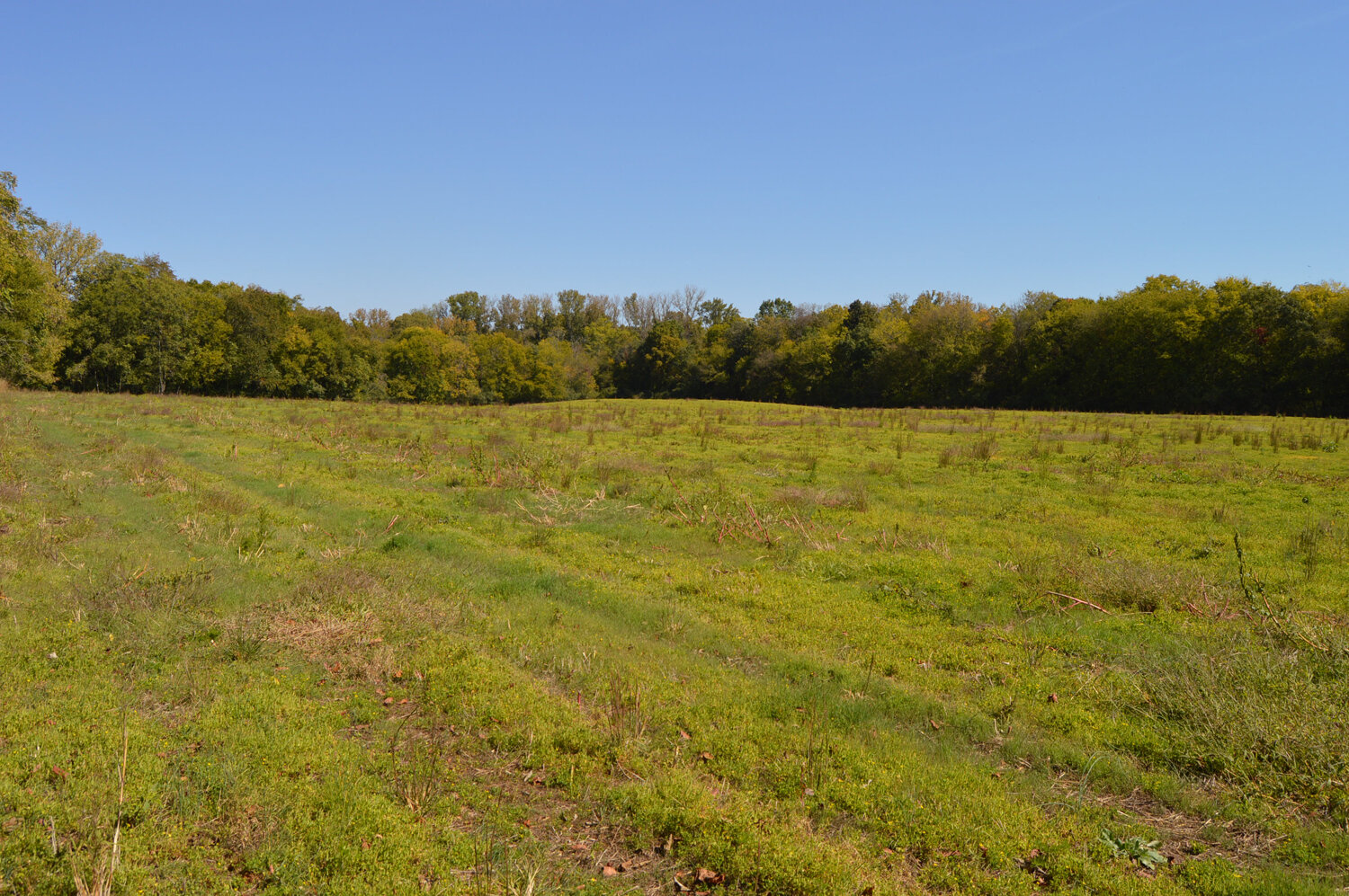 Image for Enterprise Road (Hwy. 166), Mt. Pleasant