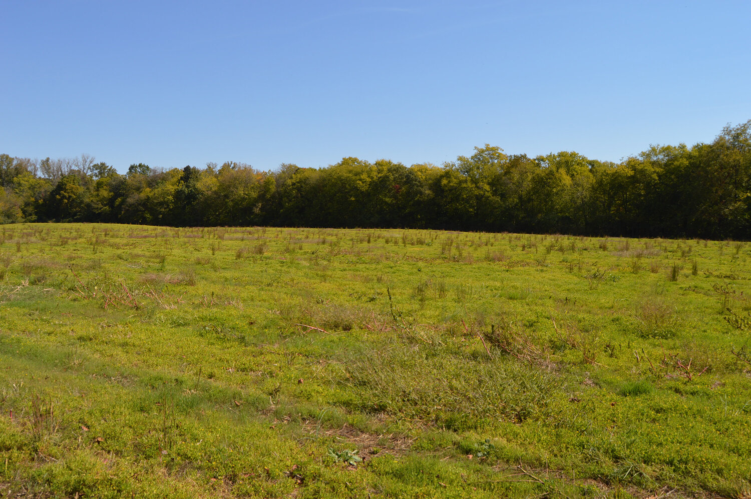Image for Enterprise Road (Hwy. 166), Mt. Pleasant