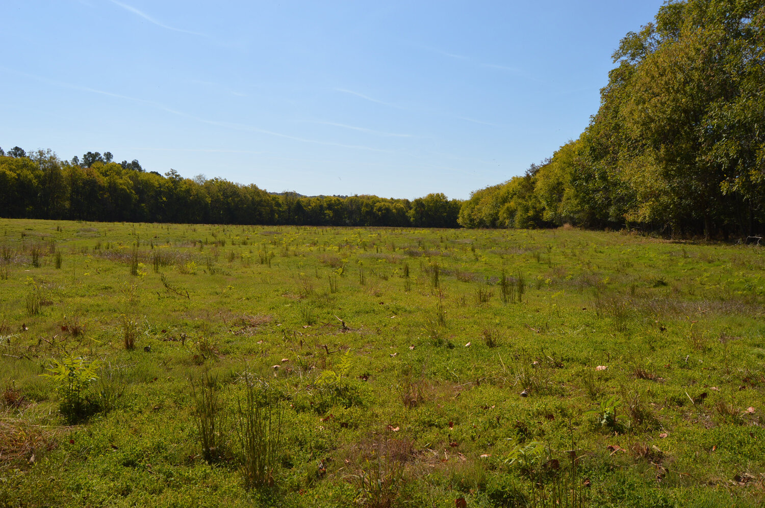 Image for Enterprise Road (Hwy. 166), Mt. Pleasant