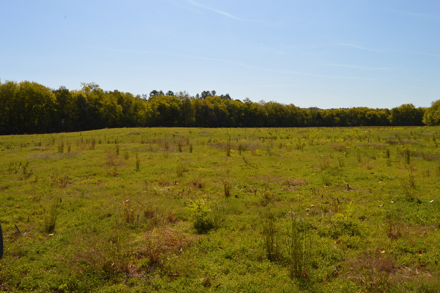 Image for Enterprise Road (Hwy. 166), Mt. Pleasant