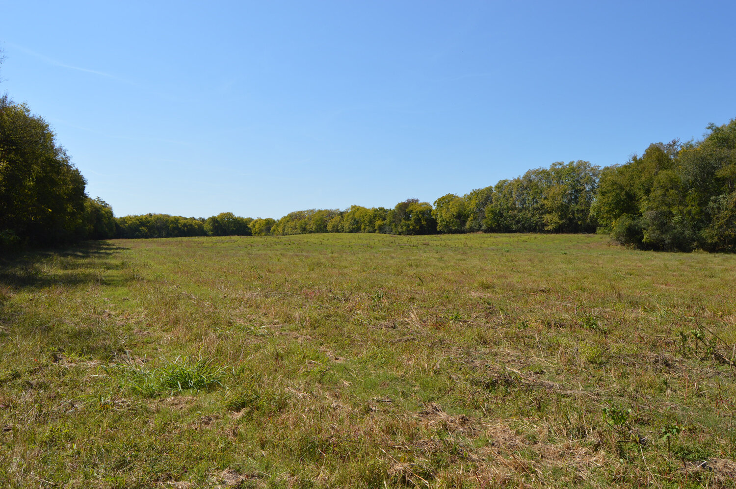 Image for Enterprise Road (Hwy. 166), Mt. Pleasant