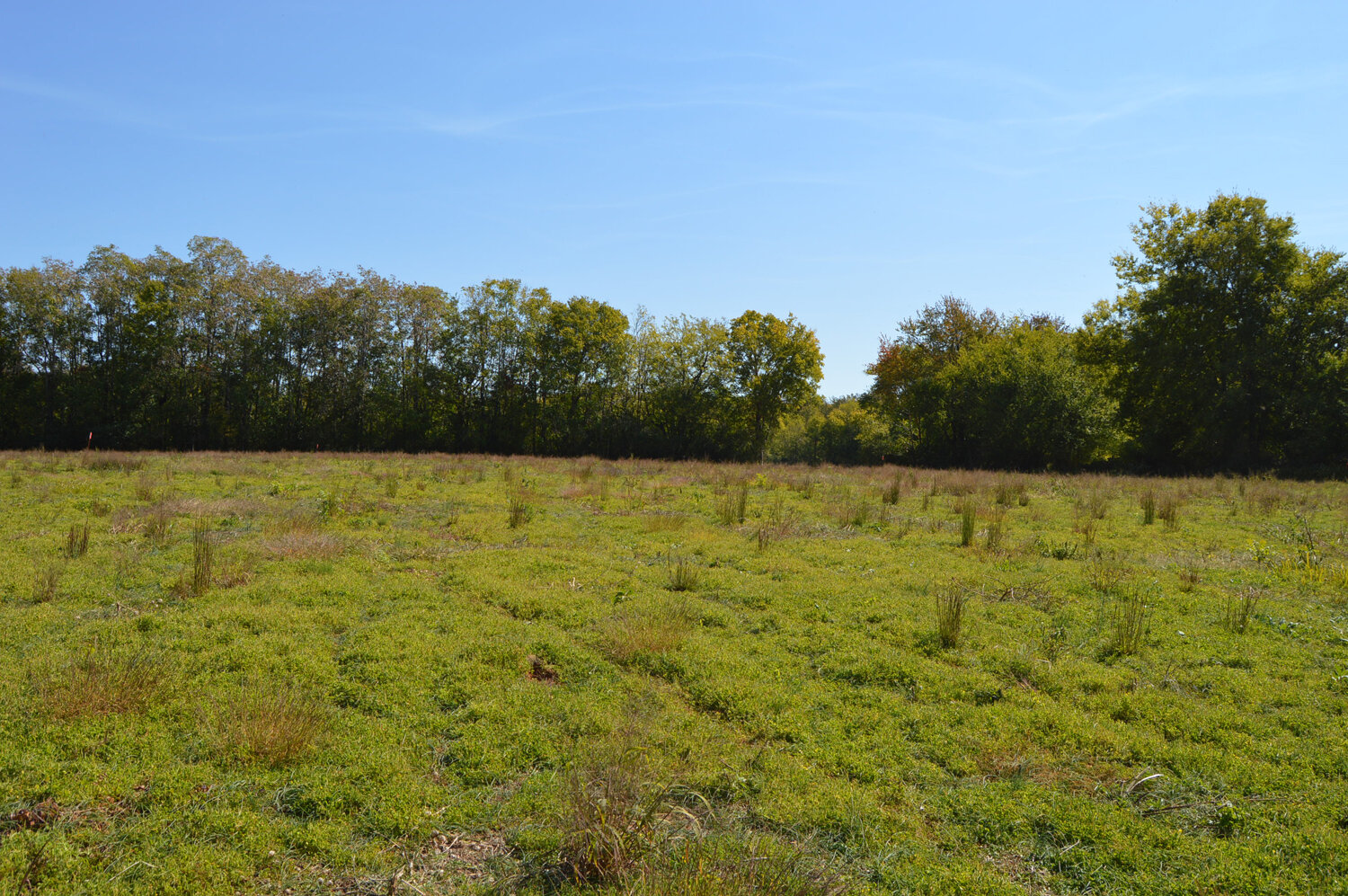 Image for Enterprise Road (Hwy. 166), Mt. Pleasant