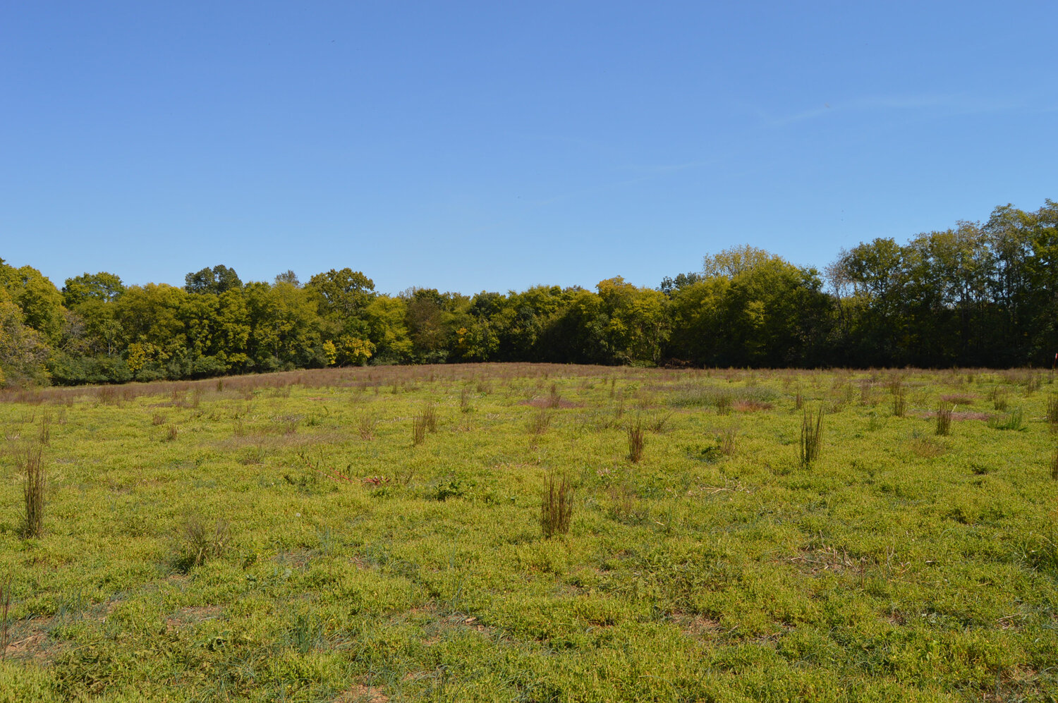 Image for Enterprise Road (Hwy. 166), Mt. Pleasant