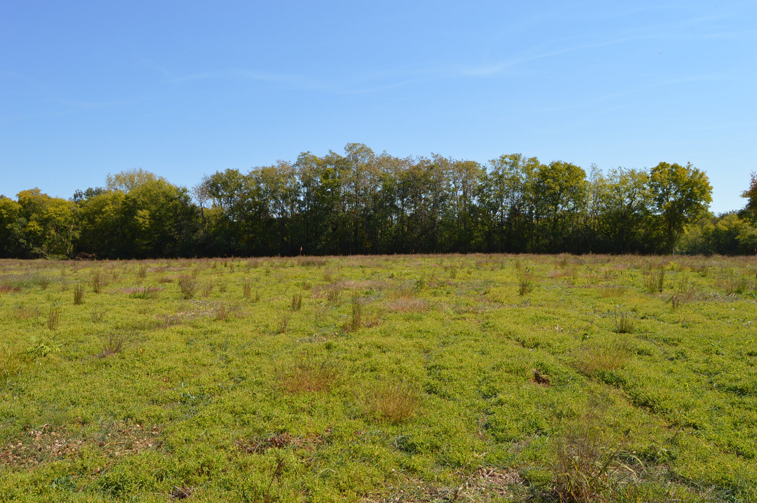 Image for Enterprise Road (Hwy. 166), Mt. Pleasant