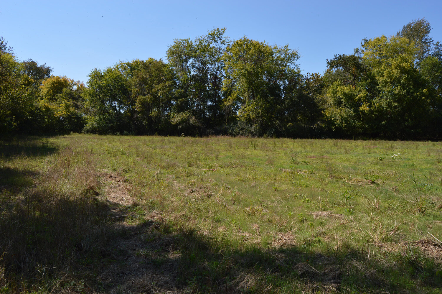 Image for Enterprise Road (Hwy. 166), Mt. Pleasant