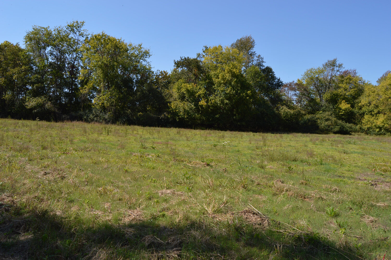 Image for Enterprise Road (Hwy. 166), Mt. Pleasant