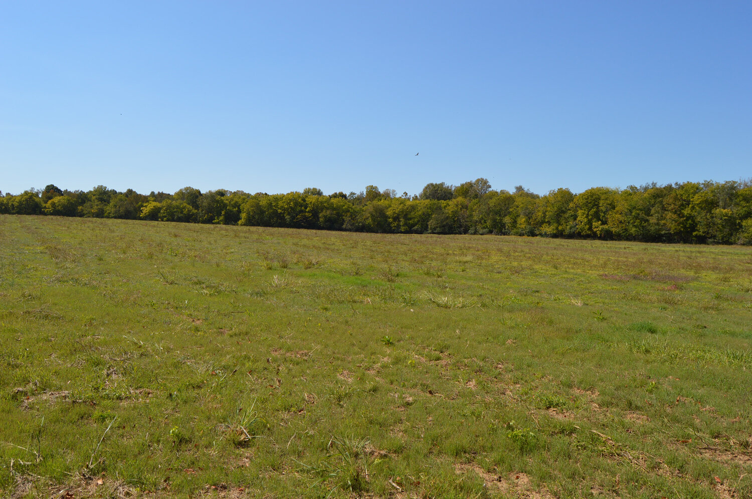 Image for Enterprise Road (Hwy. 166), Mt. Pleasant