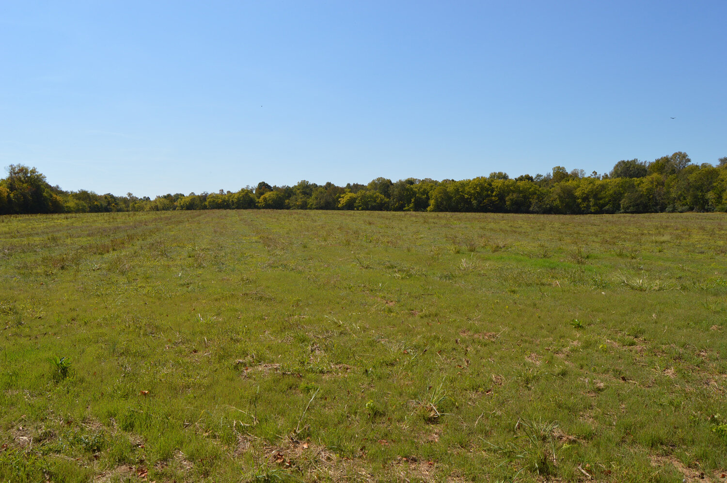 Image for Enterprise Road (Hwy. 166), Mt. Pleasant