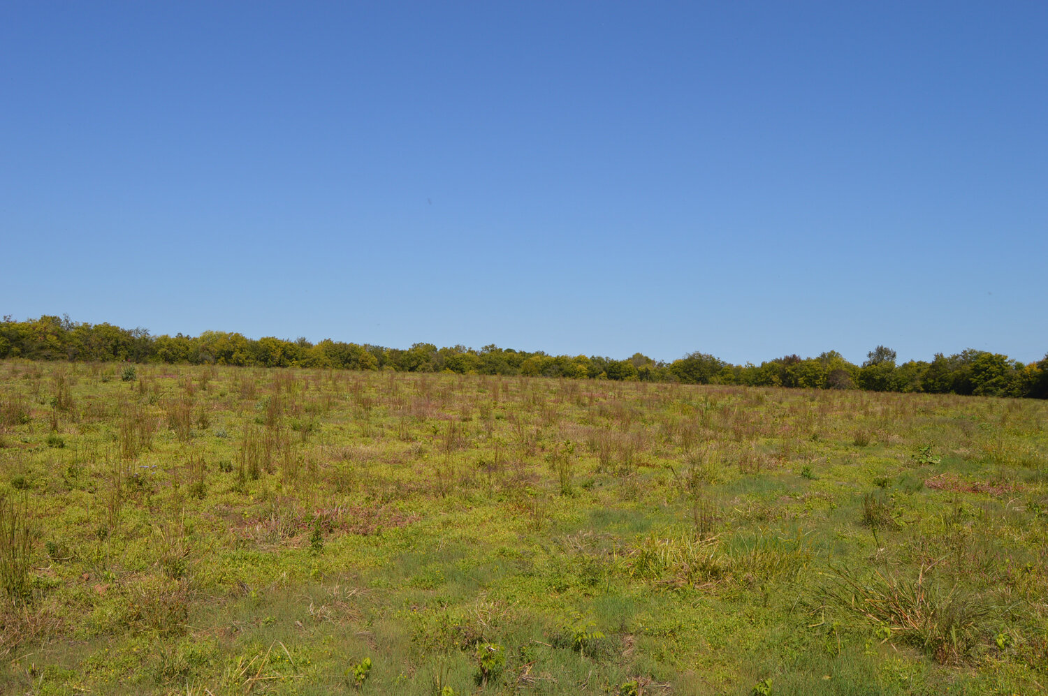 Image for Enterprise Road (Hwy. 166), Mt. Pleasant