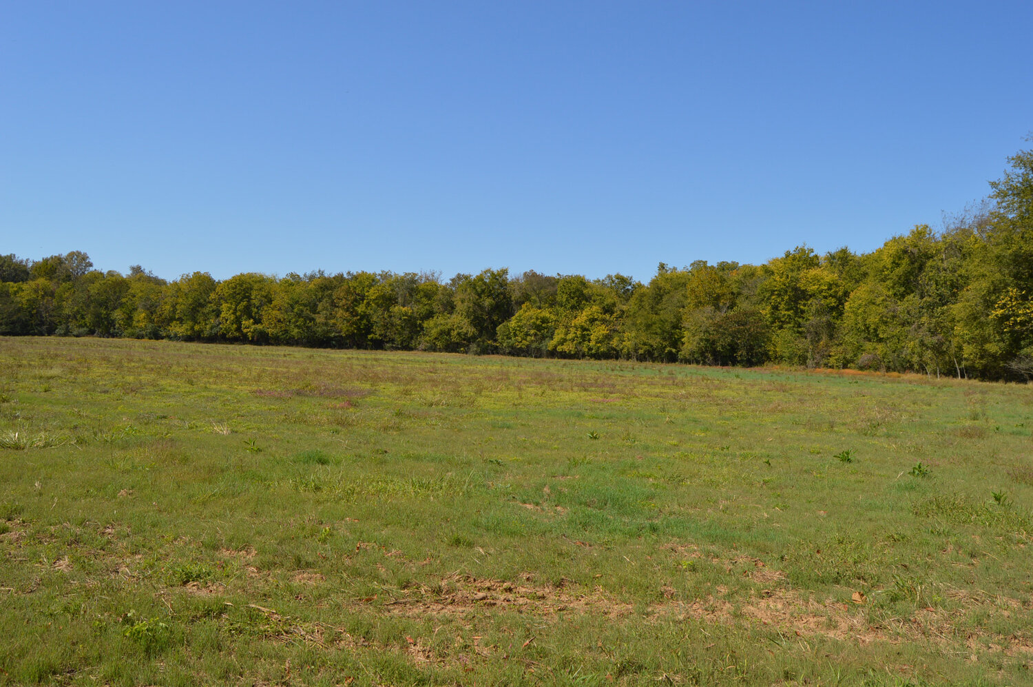 Image for Enterprise Road (Hwy. 166), Mt. Pleasant