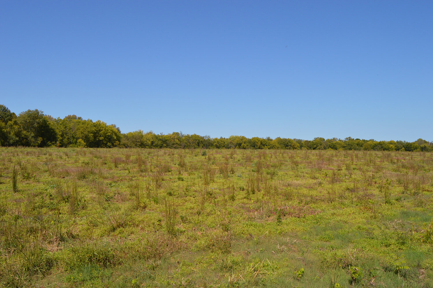 Image for Enterprise Road (Hwy. 166), Mt. Pleasant