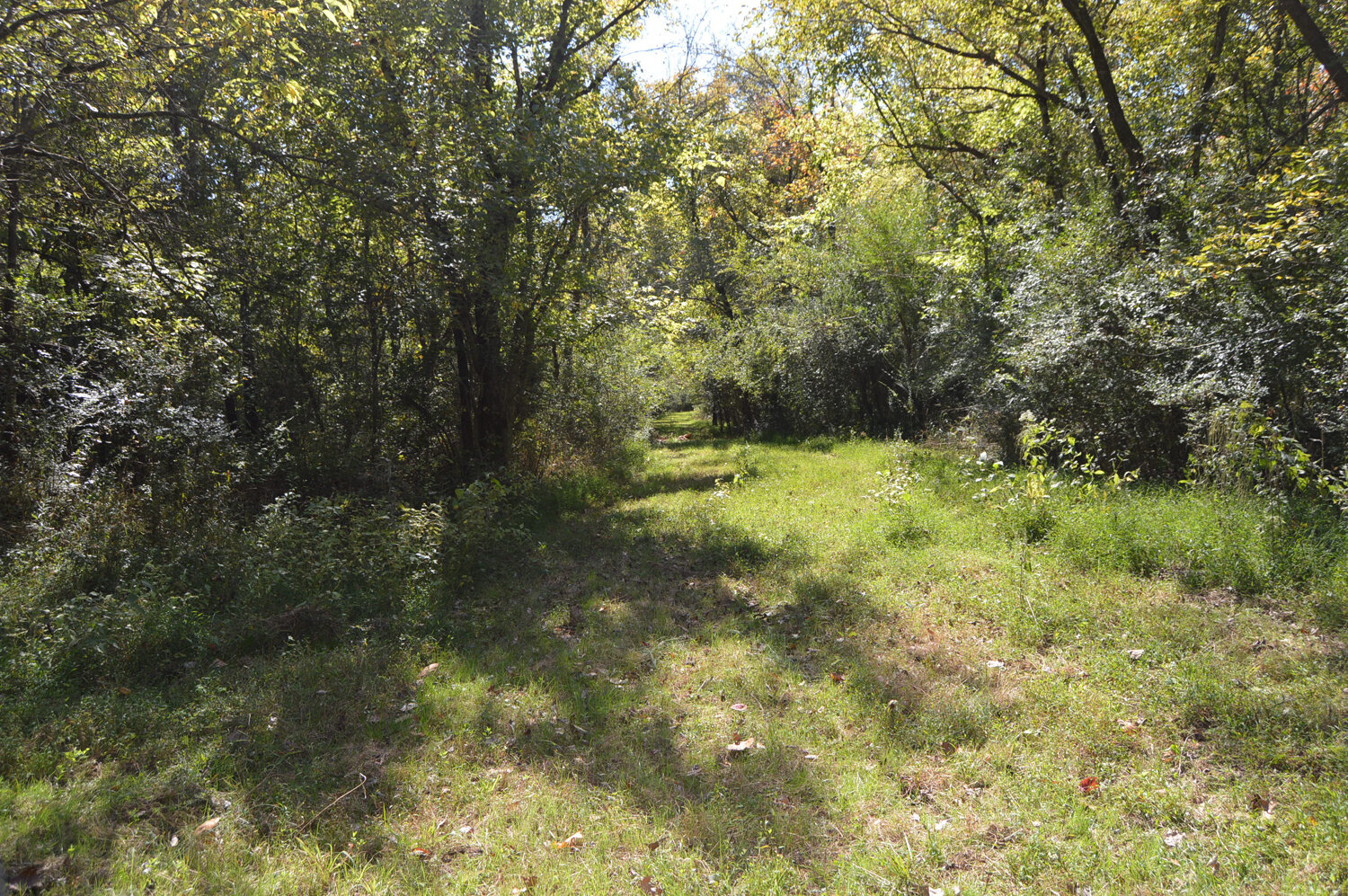 Image for Enterprise Road (Hwy. 166), Mt. Pleasant