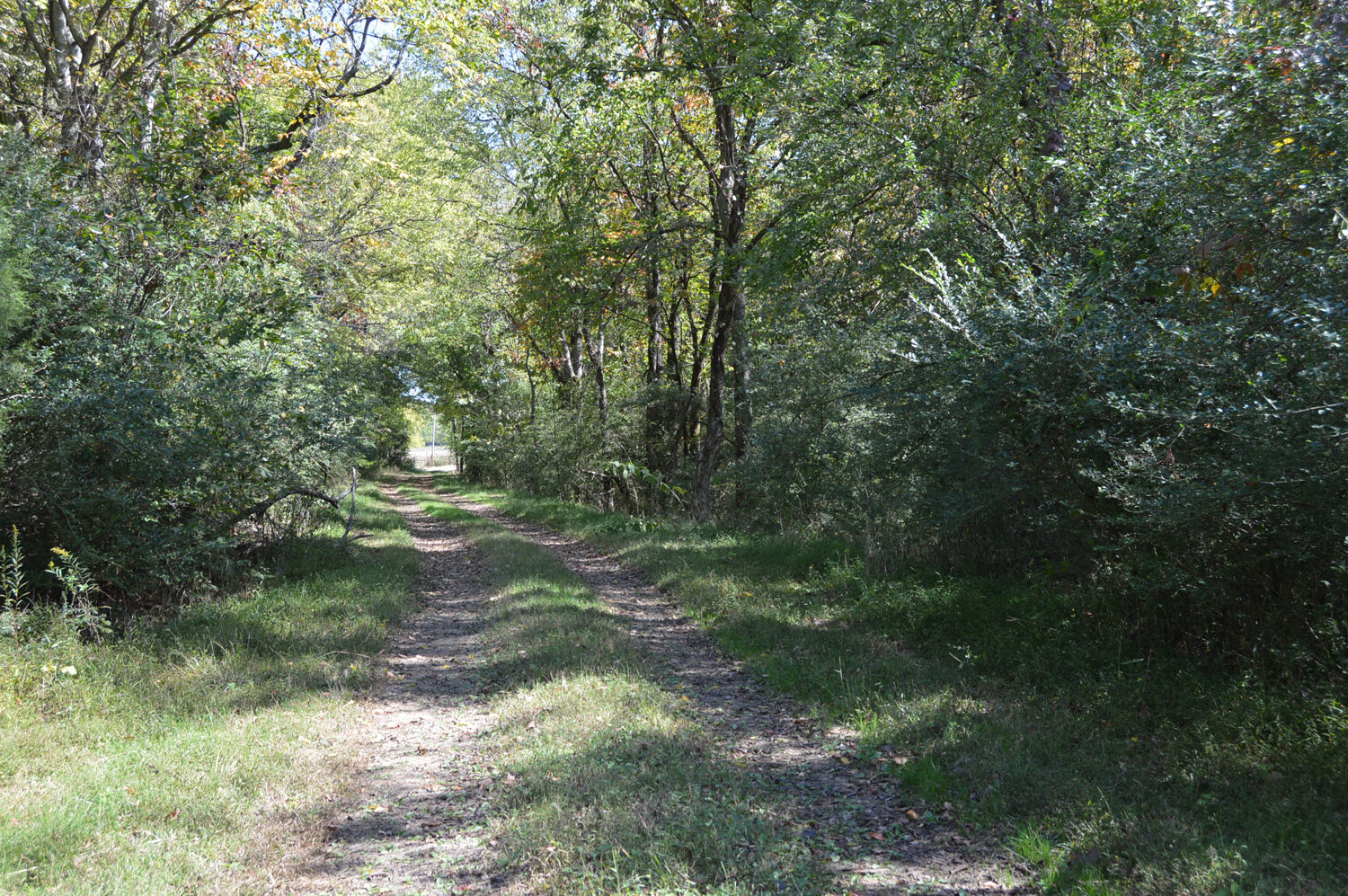 Image for Enterprise Road (Hwy. 166), Mt. Pleasant