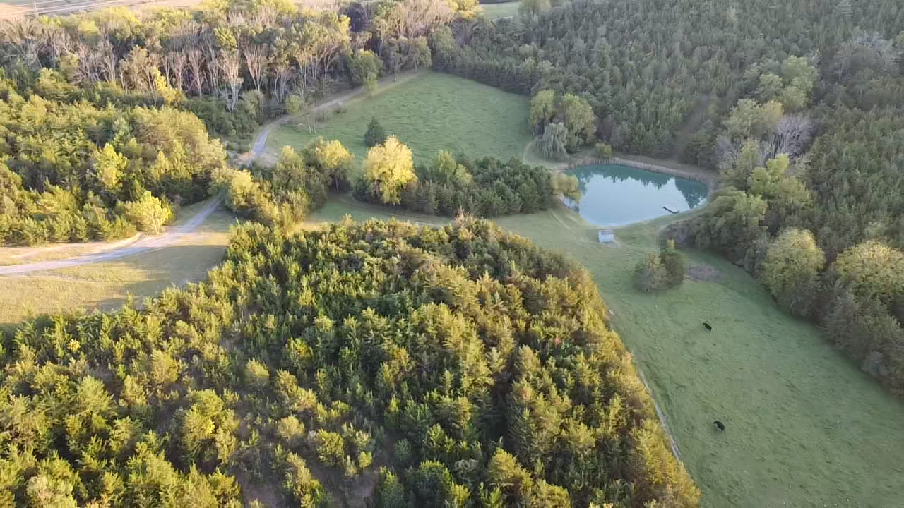 Image for 87 +/- Acres w/Pond, Pasture & Amazing Mountain Views--Augusta County, VA