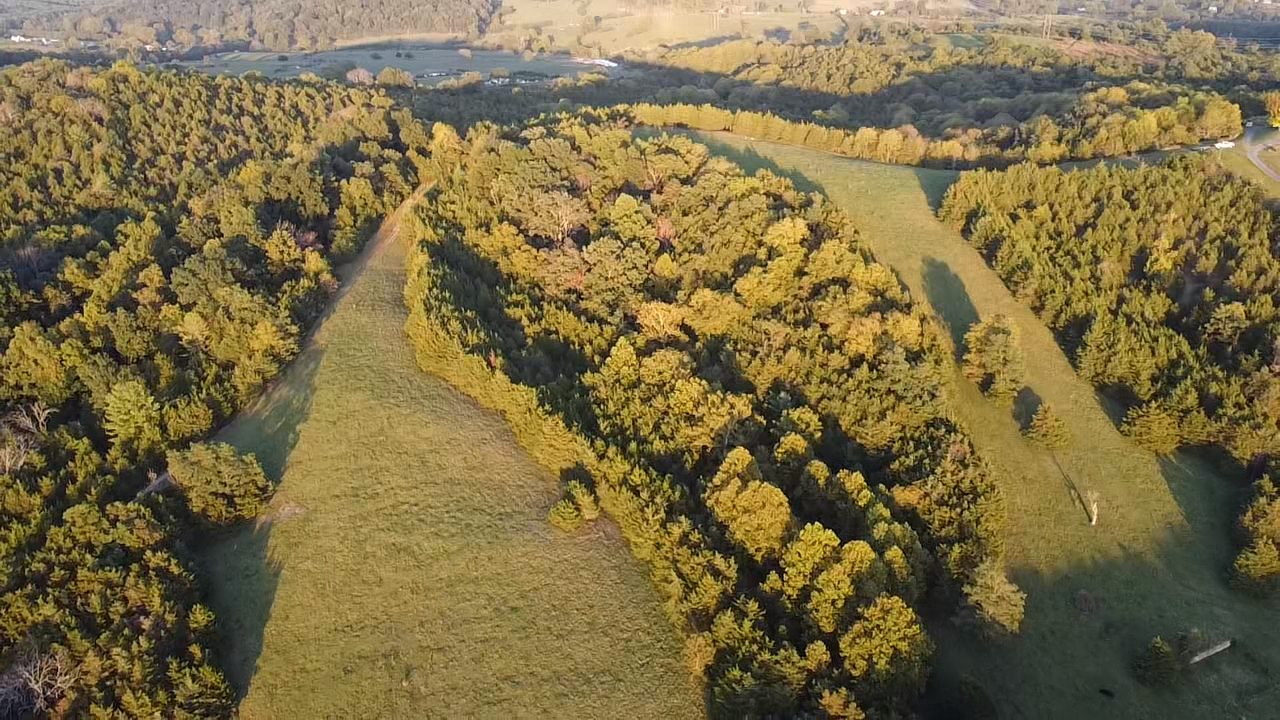 Image for 87 +/- Acres w/Pond, Pasture & Amazing Mountain Views--Augusta County, VA