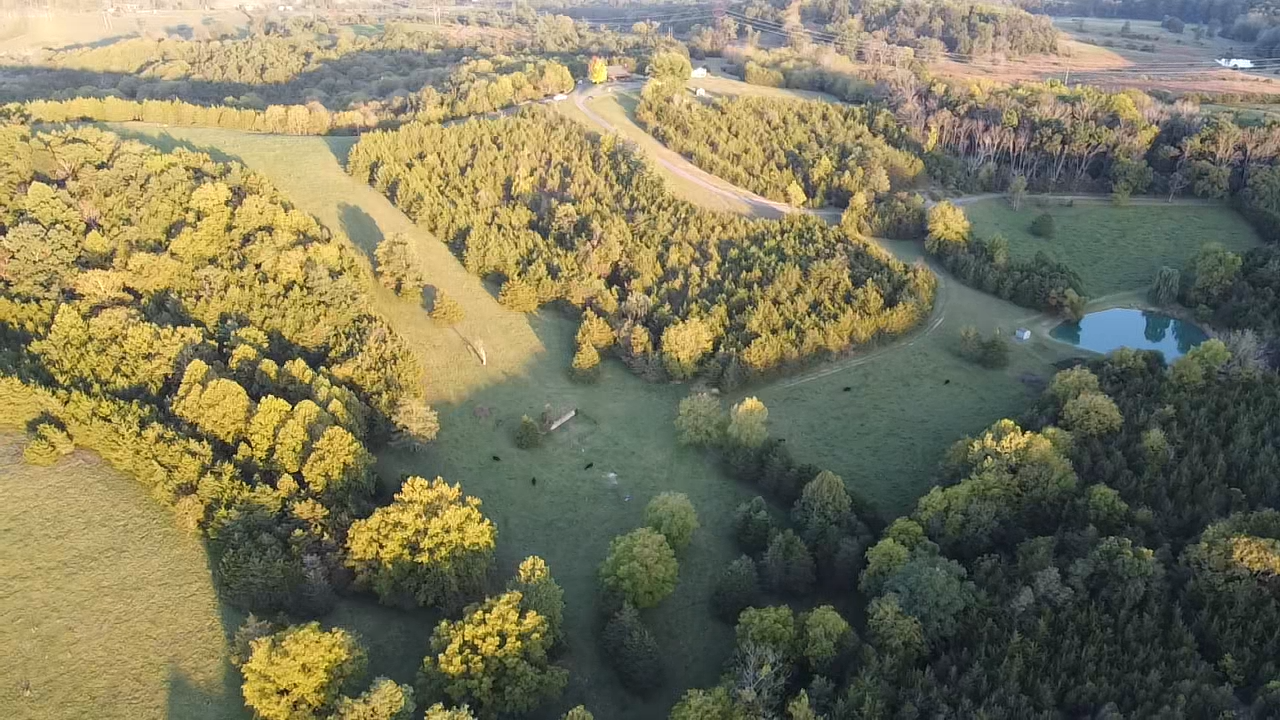 Image for 87 +/- Acres w/Pond, Pasture & Amazing Mountain Views--Augusta County, VA