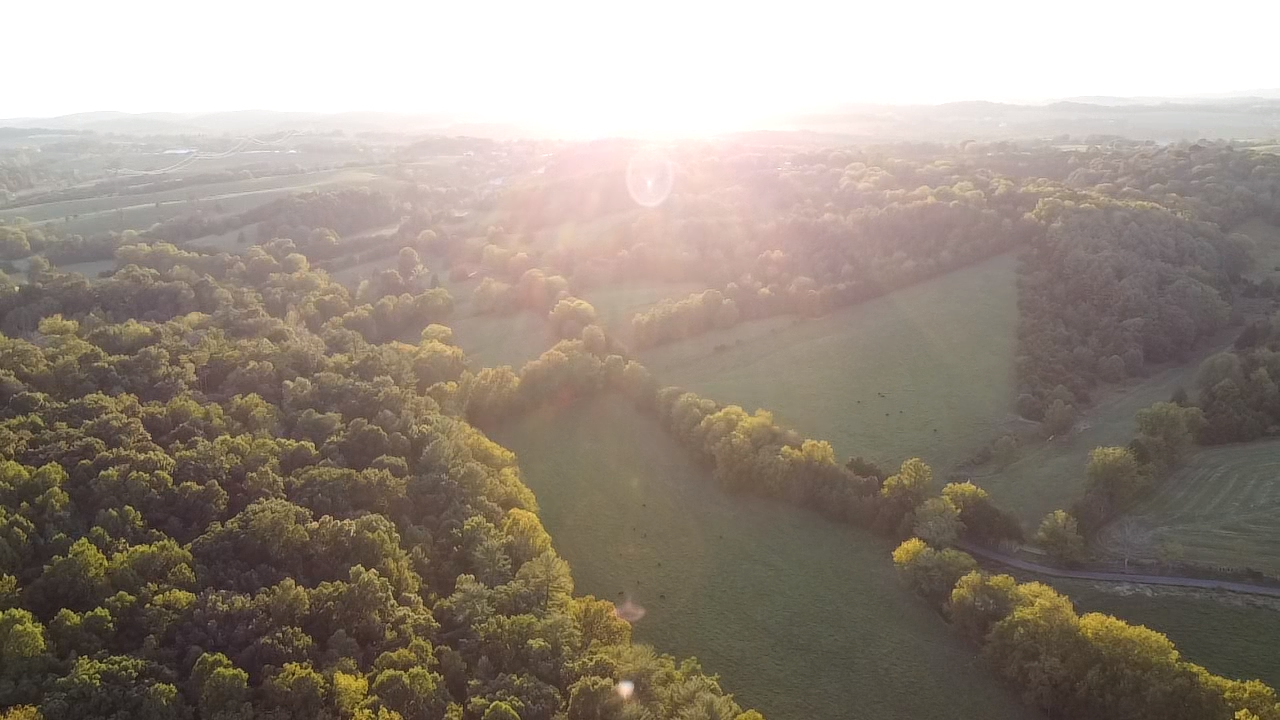 Image for 87 +/- Acres w/Pond, Pasture & Amazing Mountain Views--Augusta County, VA