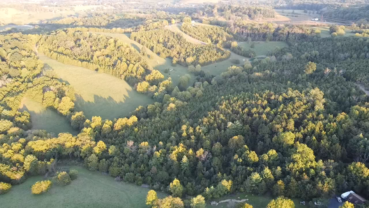 Image for 87 +/- Acres w/Pond, Pasture & Amazing Mountain Views--Augusta County, VA