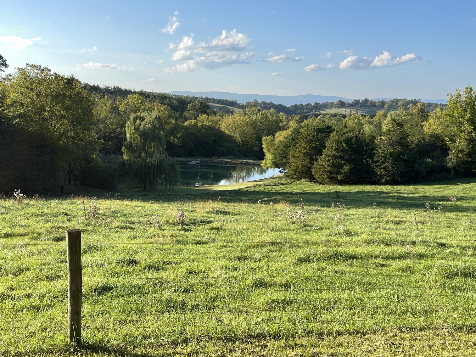 Image for 87 +/- Acres w/Pond, Pasture & Amazing Mountain Views--Augusta County, VA