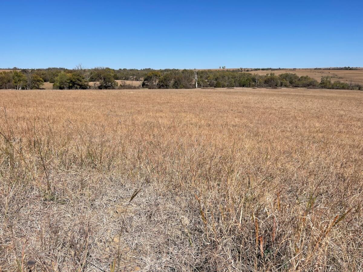 640+- Acres Chautauqua County, Kansas – Watershed Lake, Pasture, Rolling Hills, & Hunting photo 2