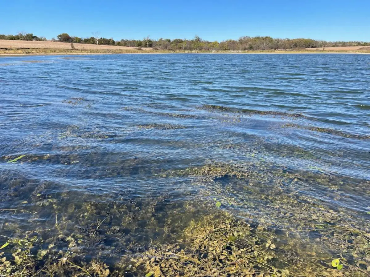 640+- Acres Chautauqua County, Kansas – Watershed Lake, Pasture, Rolling Hills, & Hunting photo 4