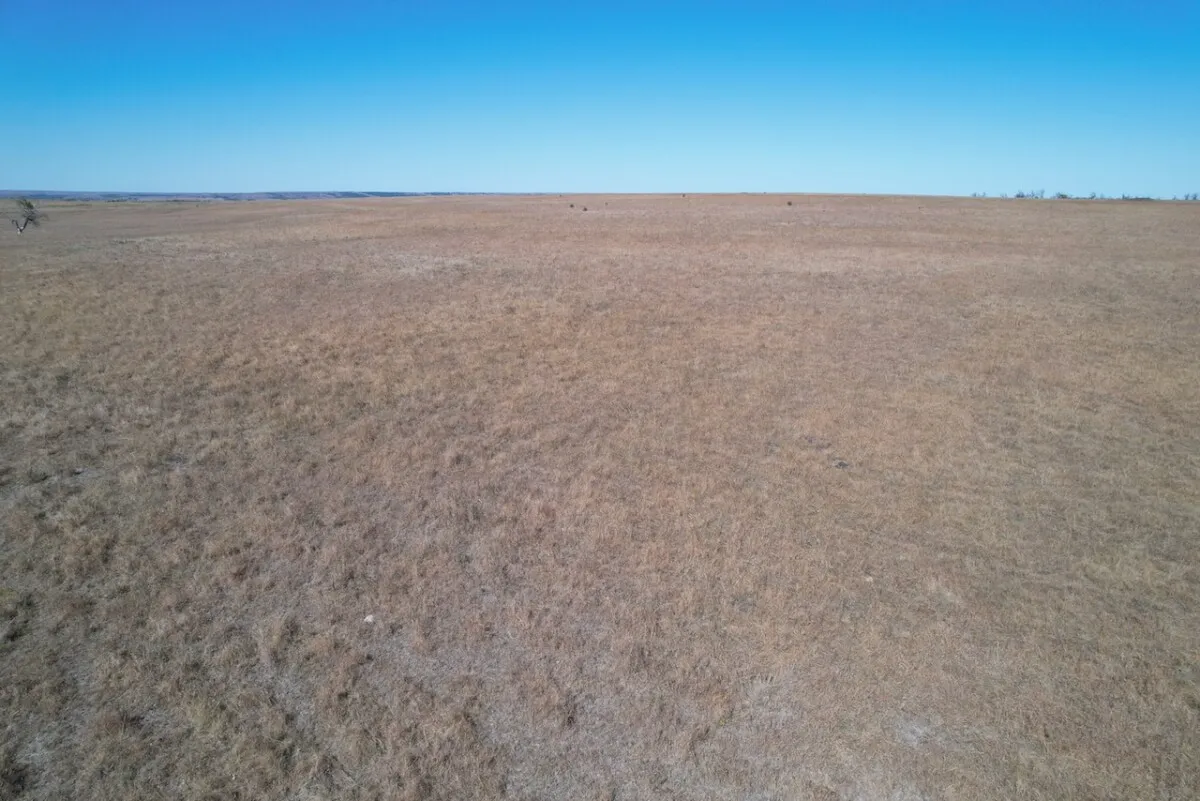 640+- Acres Chautauqua County, Kansas – Watershed Lake, Pasture, Rolling Hills, & Hunting photo 7