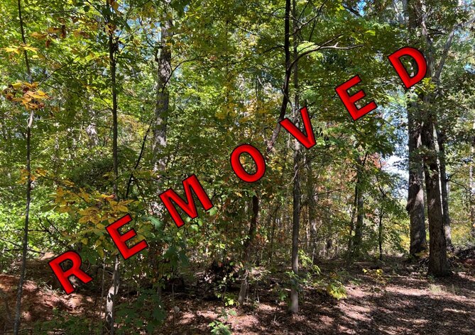 Image for Louisa County VA Tax Delinquent Sale of Real Estate