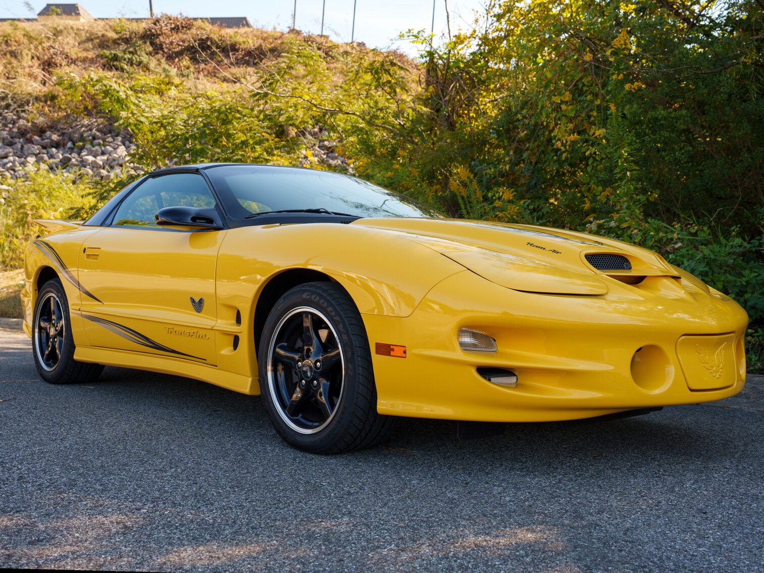 2002 PONTIAC TRANS AM WS6 COLLECTOR EDITION