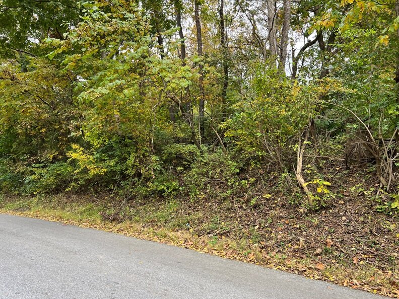 Warren County, VA Sale of Tax Delinquent Real Estate