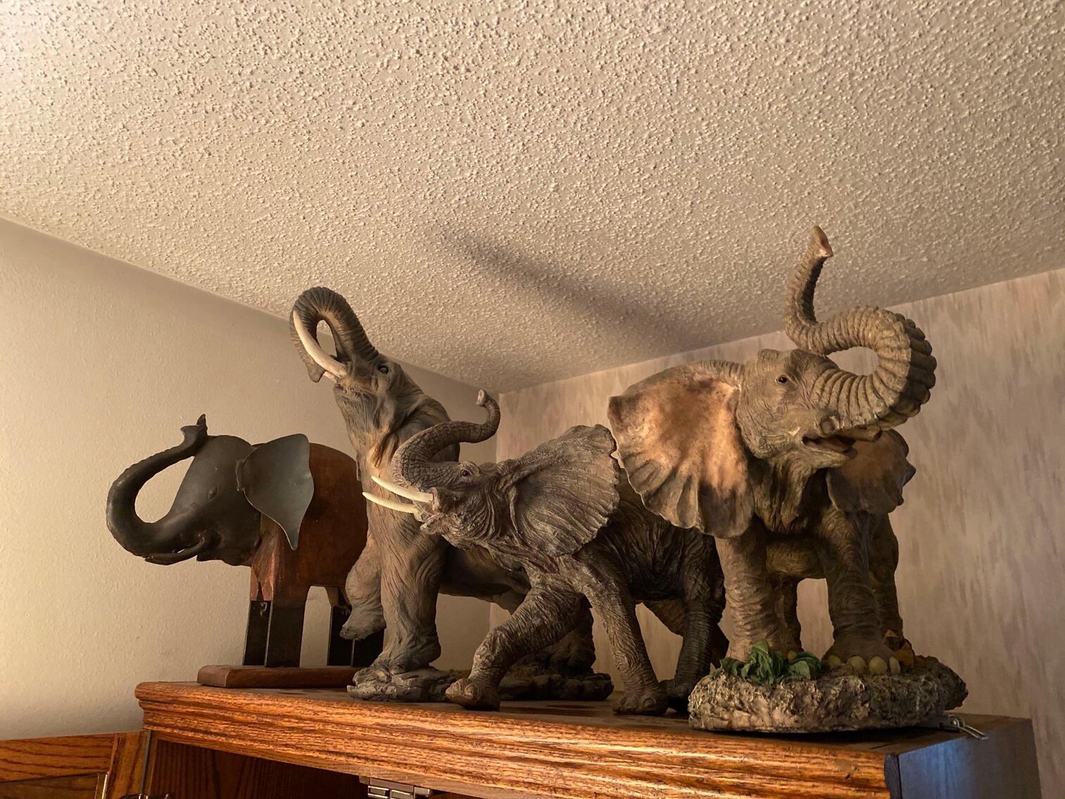 Image for Scooters, Household, Jewelry, Decorative, Collectibles, Animal Decor, Appliances (Grey)