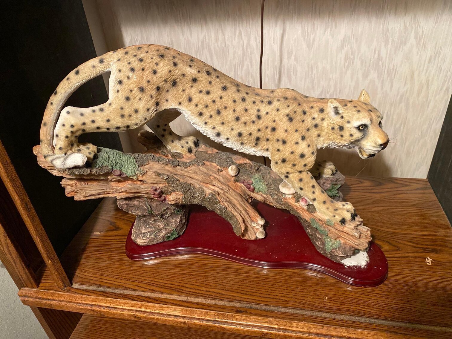 Image for Scooters, Household, Jewelry, Decorative, Collectibles, Animal Decor, Appliances (Grey)