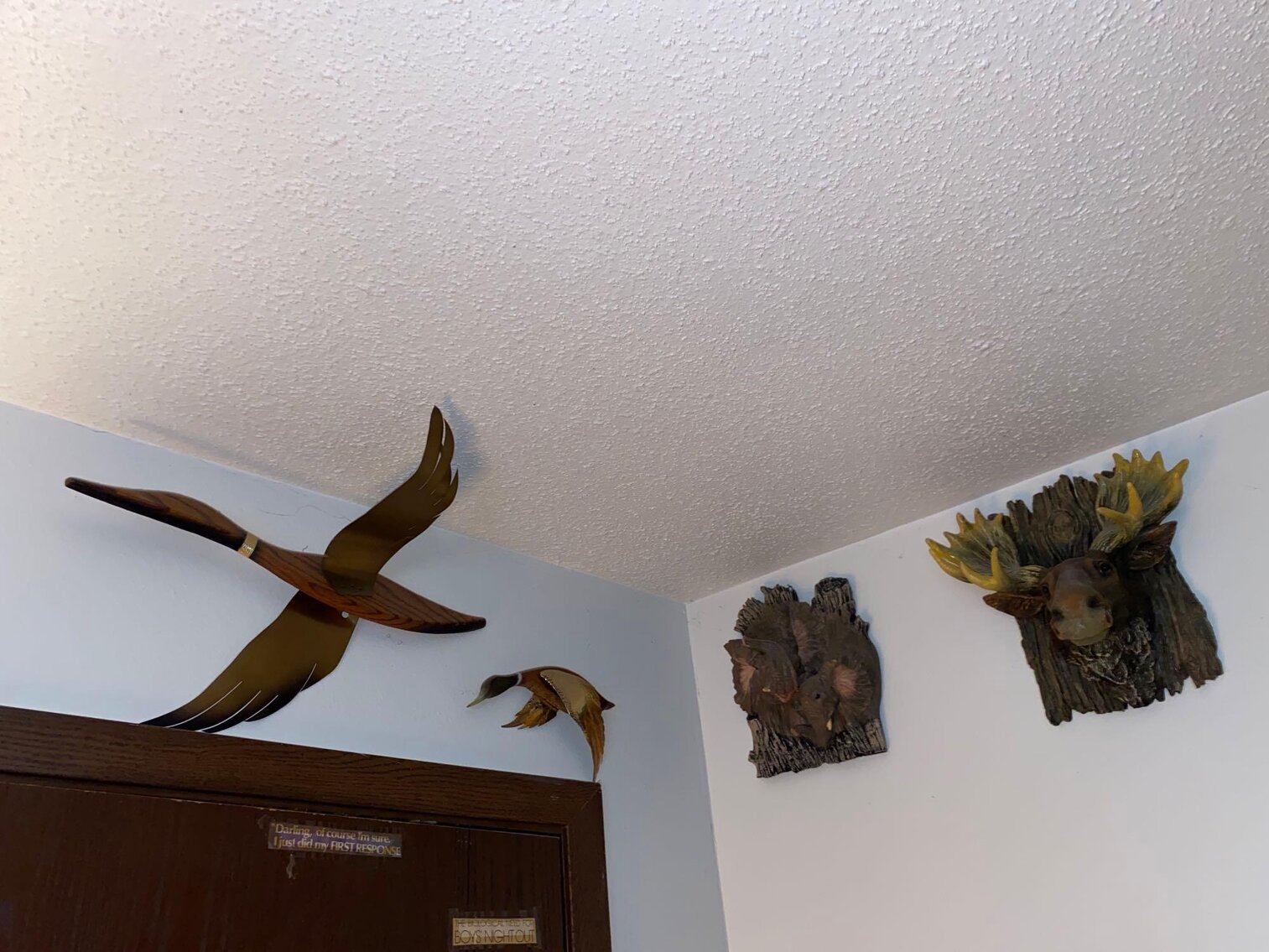 Image for Scooters, Household, Jewelry, Decorative, Collectibles, Animal Decor, Appliances (Grey)