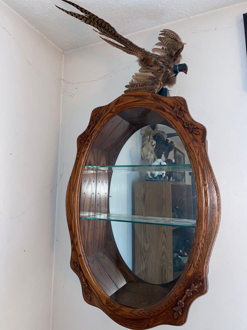 Image for Scooters, Household, Jewelry, Decorative, Collectibles, Animal Decor, Appliances (Grey)