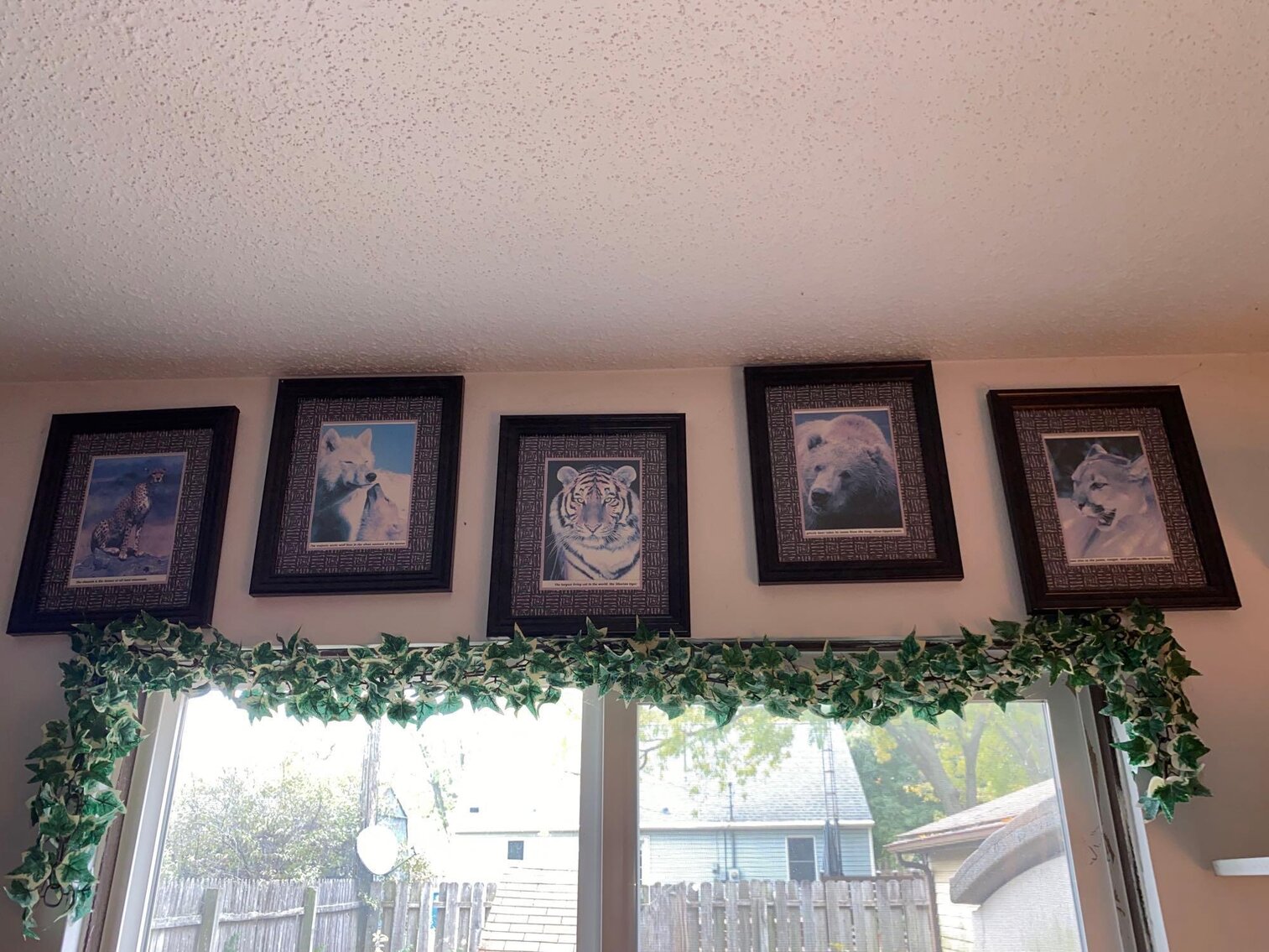 Image for Scooters, Household, Jewelry, Decorative, Collectibles, Animal Decor, Appliances (Grey)