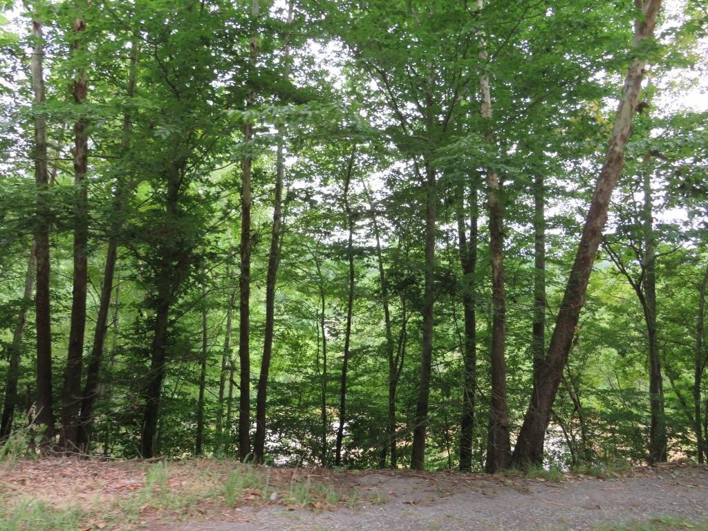 Image for SOLD $53,350 - 83 Acres in Prestonburg