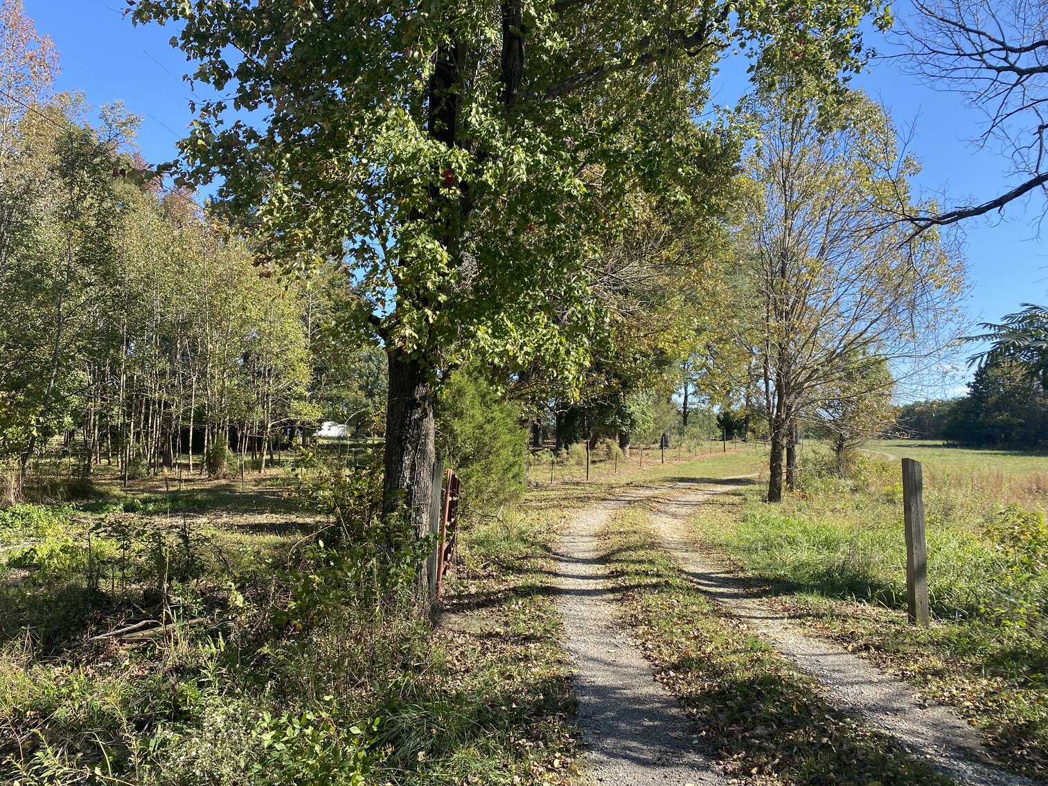 Image for Estate Auction - 78+/- Acre Historical Farm - Prince George Co. - 9615 East Quaker Rd. Disputanta VA 23842