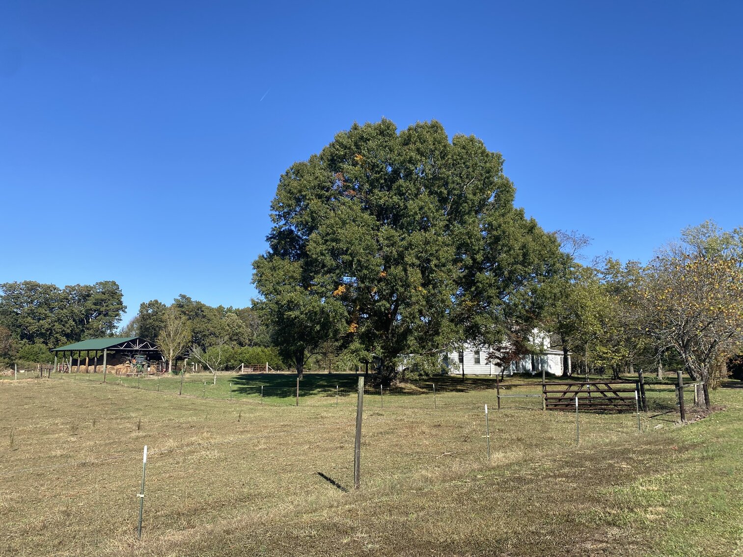 Image for Estate Auction - 78+/- Acre Historical Farm - Prince George Co. - 9615 East Quaker Rd. Disputanta VA 23842