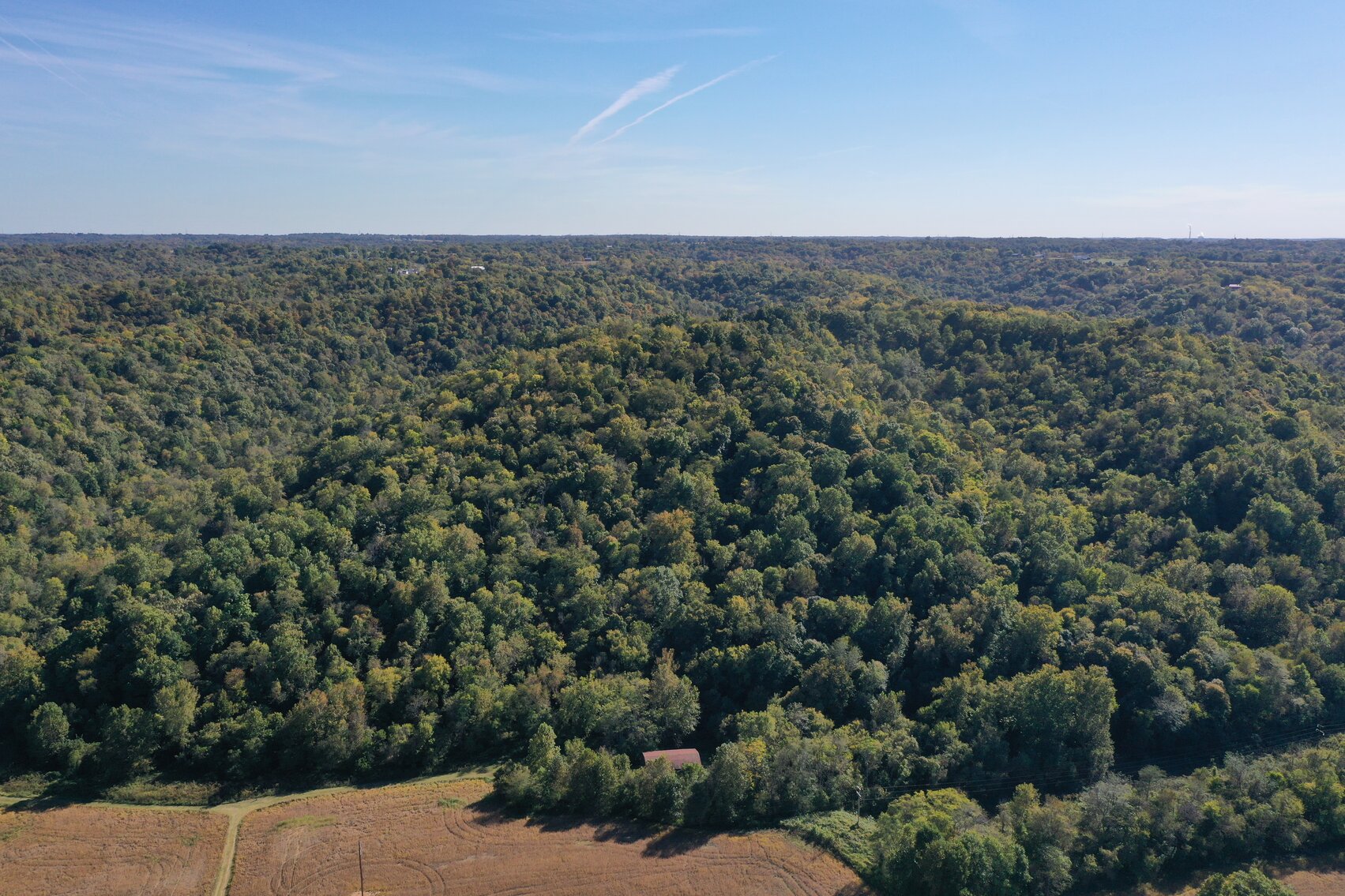 Image for Ohio River Front Farm Auction