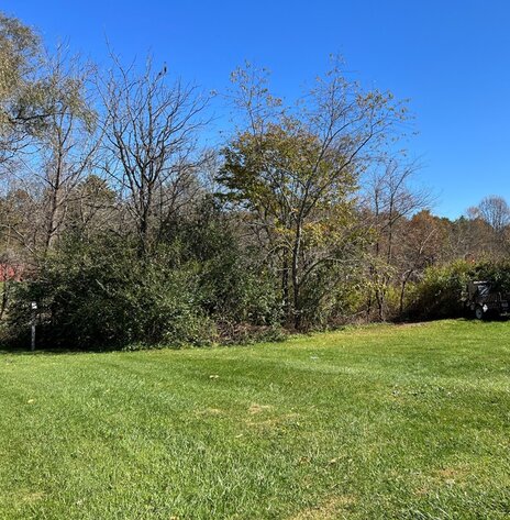 Image for Carroll County & Town of Hillsville Sale of Tax Delinquent Real Estate