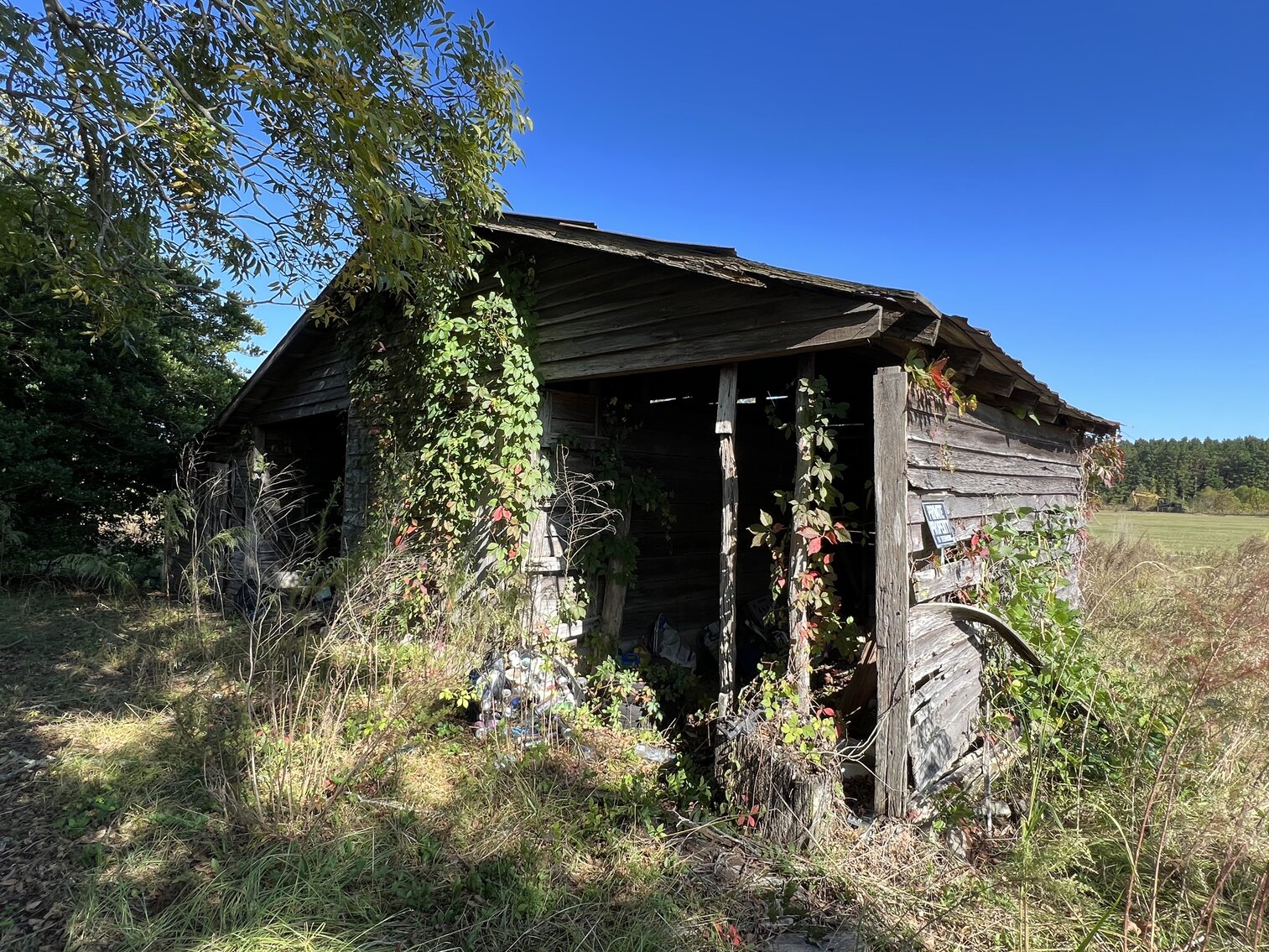 Image for 412 Corbett Hill Road, Mt. Olive, NC 27365