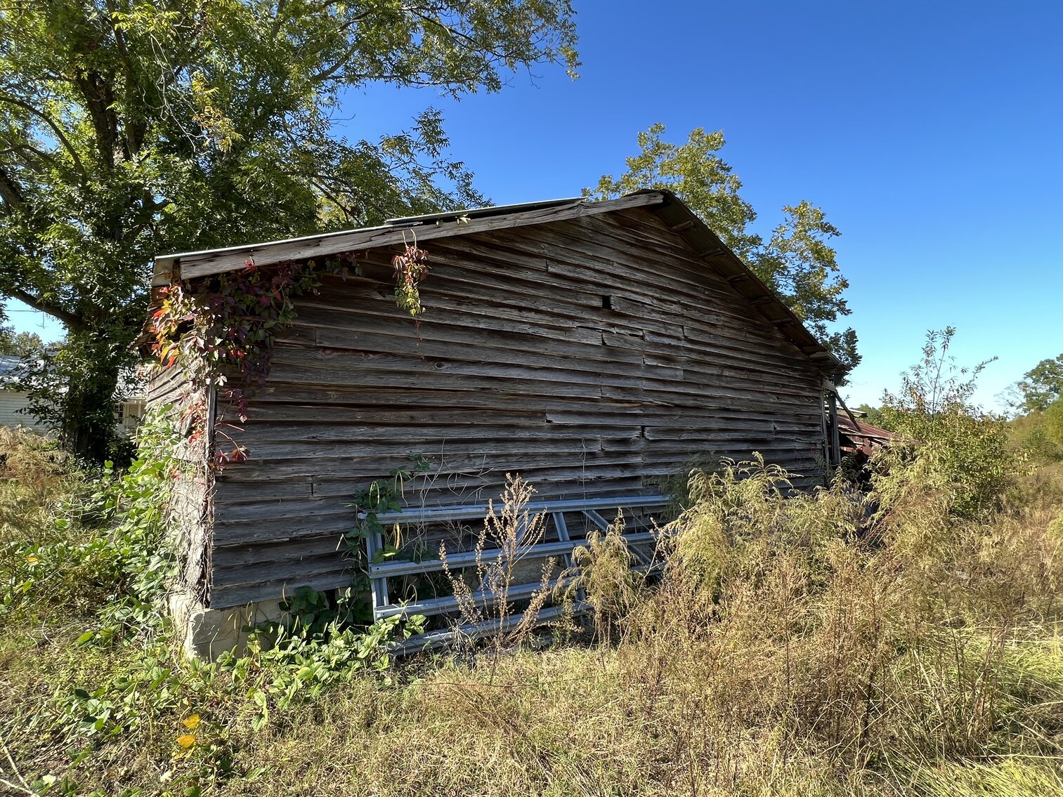 Image for 412 Corbett Hill Road, Mt. Olive, NC 27365