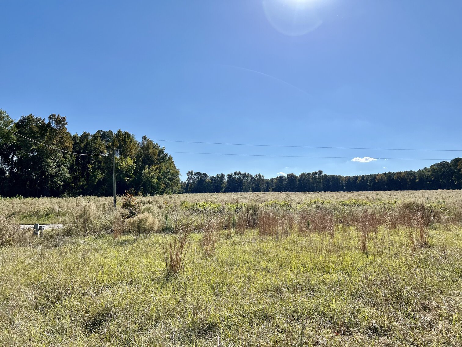 Image for 412 Corbett Hill Road, Mt. Olive, NC 27365