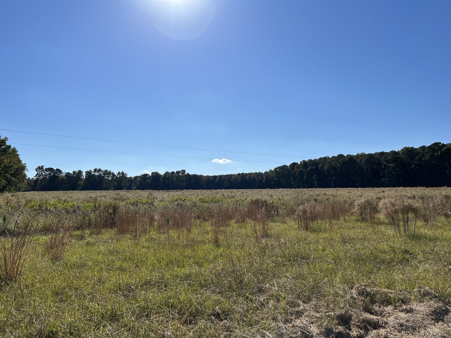 Image for 412 Corbett Hill Road, Mt. Olive, NC 27365