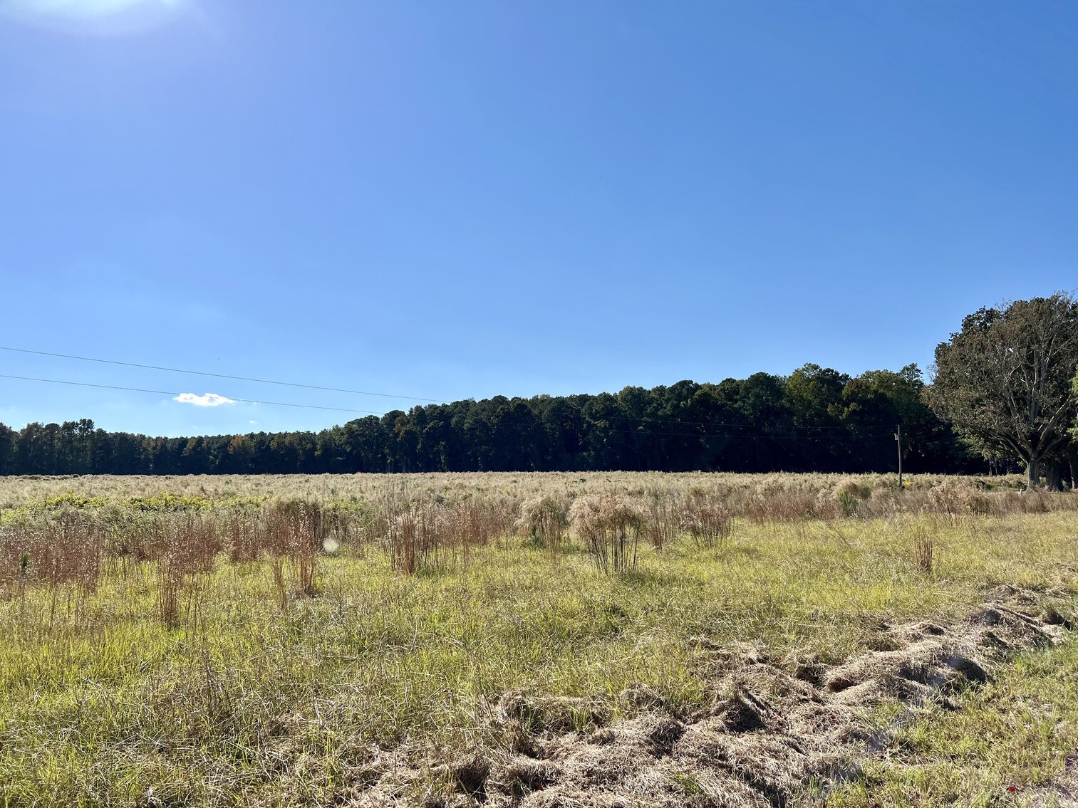 Image for 412 Corbett Hill Road, Mt. Olive, NC 27365