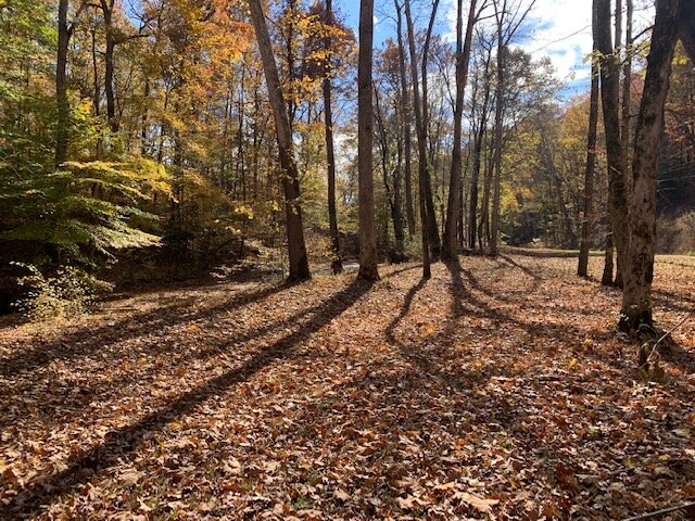 Image for Tatum Creek - LAKE w/ 41 acres & long creek frontage