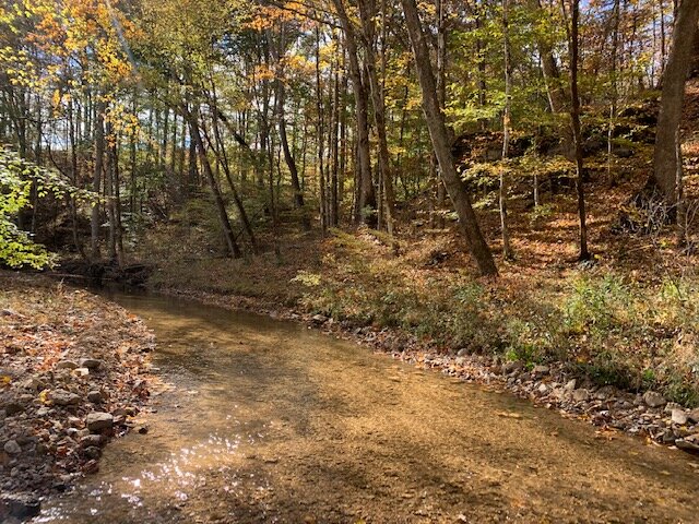 Image for Tatum Creek - LAKE w/ 41 acres & long creek frontage