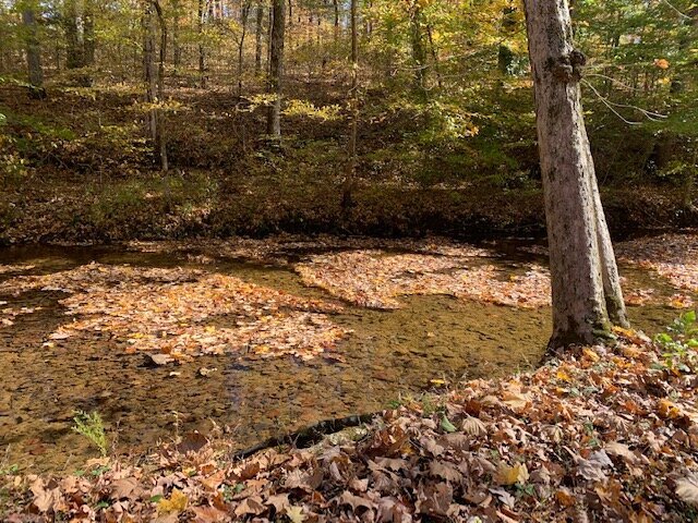 Image for Tatum Creek - LAKE w/ 41 acres & long creek frontage