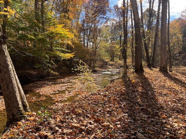 Image for Tatum Creek - LAKE w/ 41 acres & long creek frontage