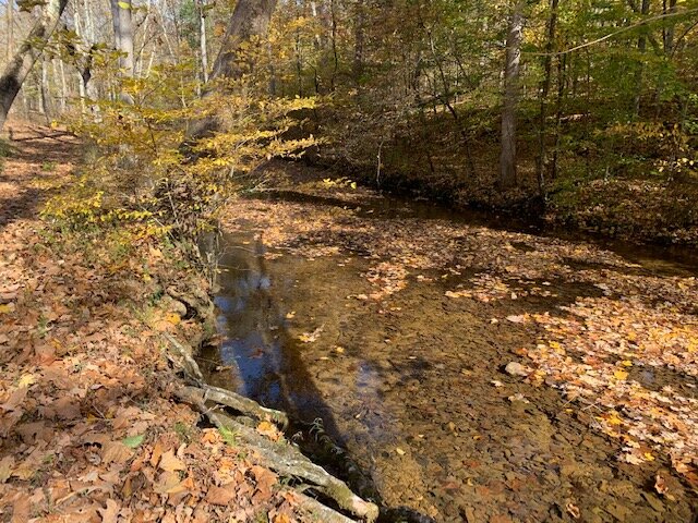 Image for Tatum Creek - LAKE w/ 41 acres & long creek frontage