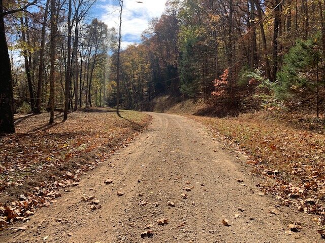 Image for Tatum Creek - LAKE w/ 41 acres & long creek frontage